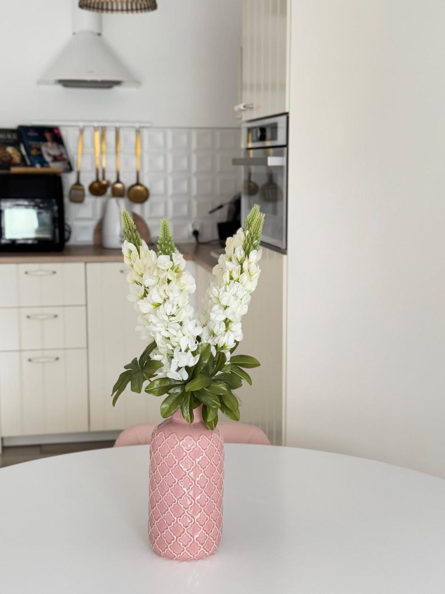 Apartment Mountain Bratkow 10a